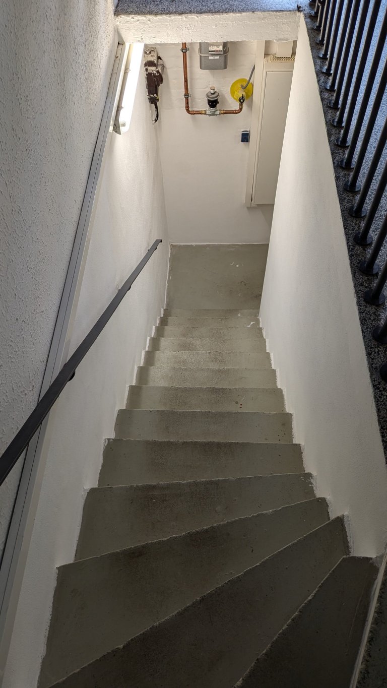 PXL_20241024_133608436